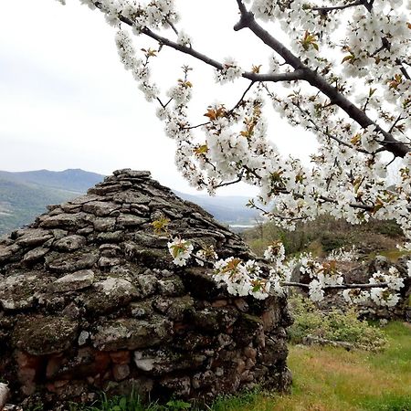 Apartamento Rural Amaluna El Torno  Exteriör bild