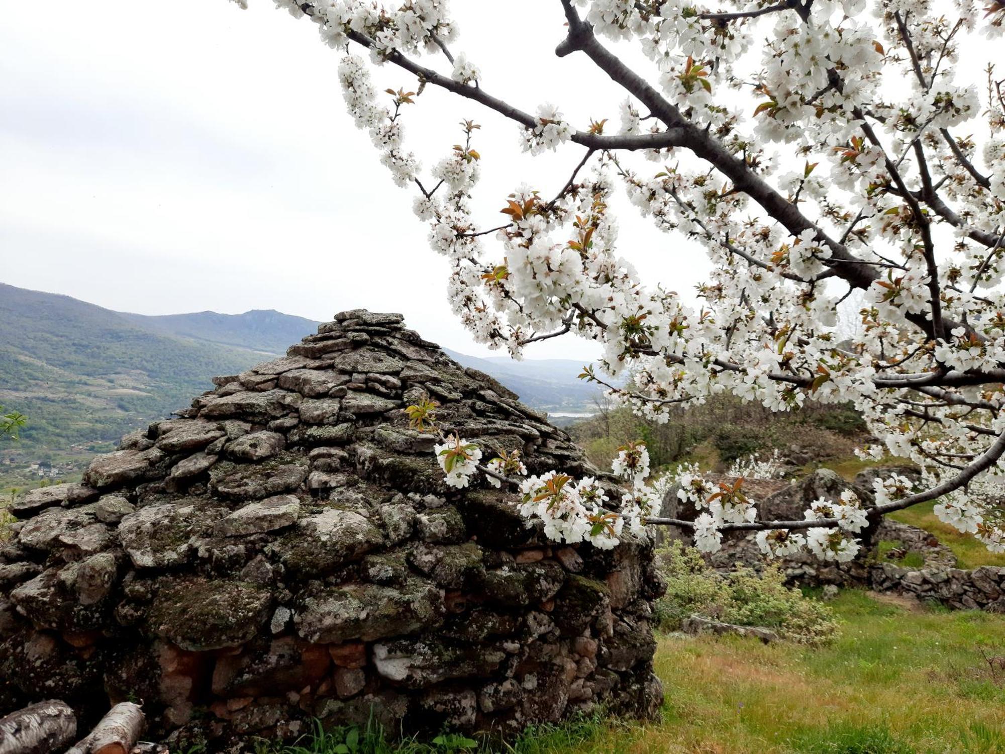 Apartamento Rural Amaluna El Torno  Exteriör bild